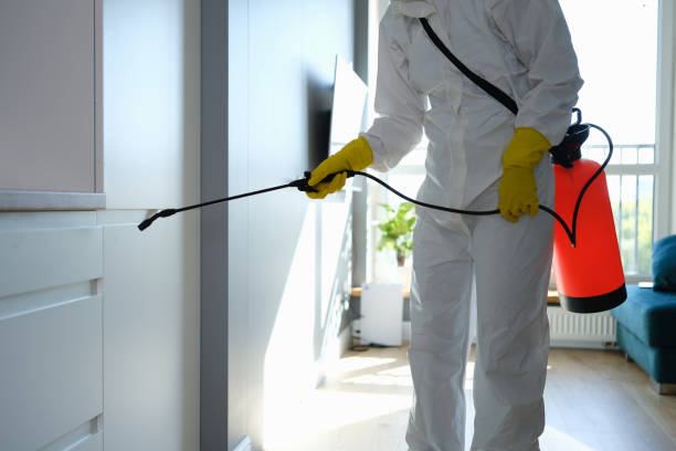 Best HVAC Mold Inspection and Cleaning  in Lake Darby, OH
