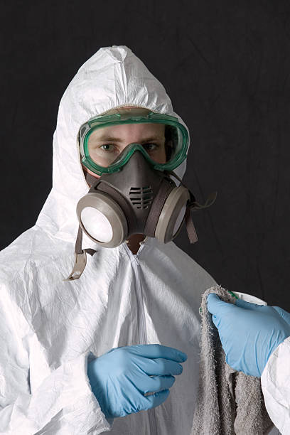 Professional Mold Removal in Lake Darby, OH